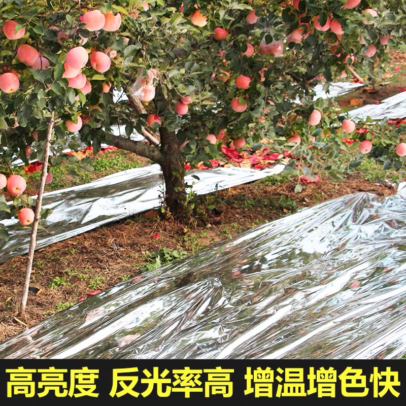 阳江市地膜果树反光膜 - 一站式服务